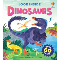 Look Inside Dinosaurs - Board Book