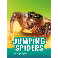 Jumping Spiders - Paperback