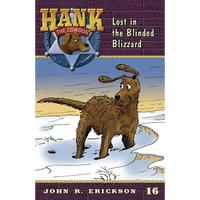 Lost in the Blinded Blizzard - Paperback