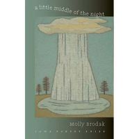 A Little Middle of the Night - Paperback