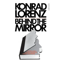 Behind the Mirror - Paperback