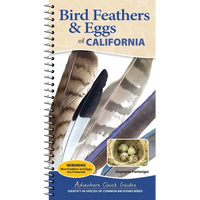 Bird Feathers & Eggs of California: Identify 40 Species of Common Backyard Birds - Spiral