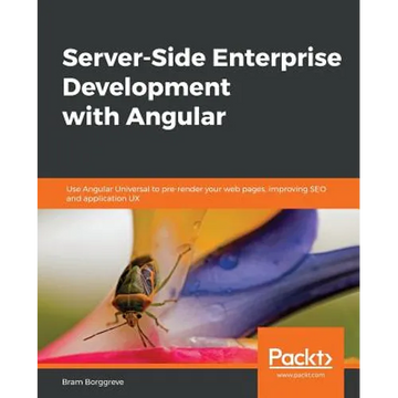 Server-Side Enterprise Development with Angular - Paperback