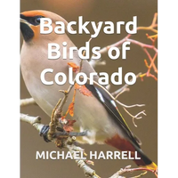 Backyard Birds of Colorado - Paperback