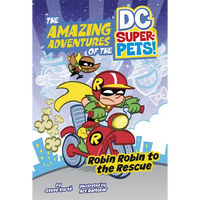 Robin Robin to the Rescue - Hardcover
