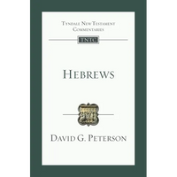 Hebrews: An Introduction and Commentary - Paperback