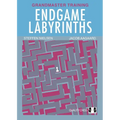Endgame Labyrinths: Grandmaster Training
