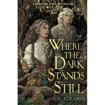 Where the Dark Stands Still - Paperback