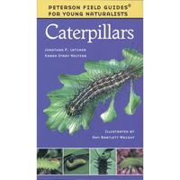 Caterpillars - Paperback