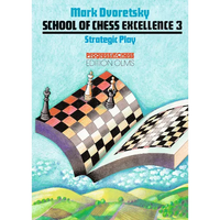 Strategic Play - Paperback