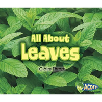 All about Leaves - Paperback