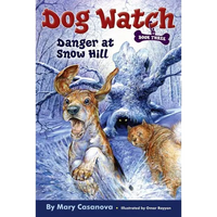 Danger at Snow Hill - Paperback