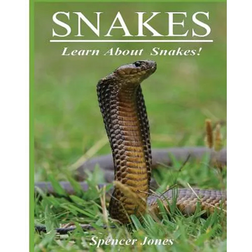 Snakes: Fun Facts & Amazing Pictures - Learn About Snakes - Paperback