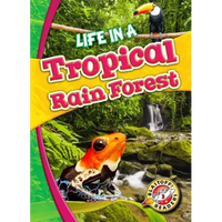 Life in a Tropical Rain Forest - Paperback