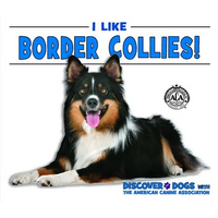 I Like Border Collies! - Library Binding
