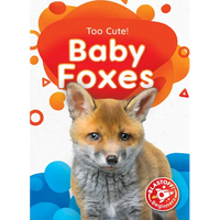 Baby Foxes - Library Binding