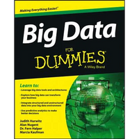 Big Data For Dummies - Paperback
