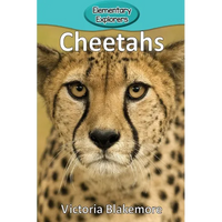 Cheetahs - Paperback