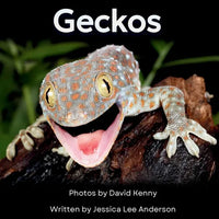 Geckos: Get to Know More About These Vocal Lizards! - Paperback