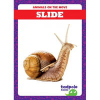 Slide - Library Binding
