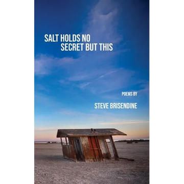 Salt Holds No Secrets But This - Paperback