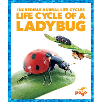 Life Cycle of a Ladybug - Paperback