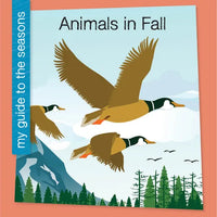 Animals in Fall - Library Binding