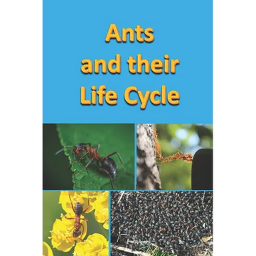 Ants and their Life Cycle - Paperback