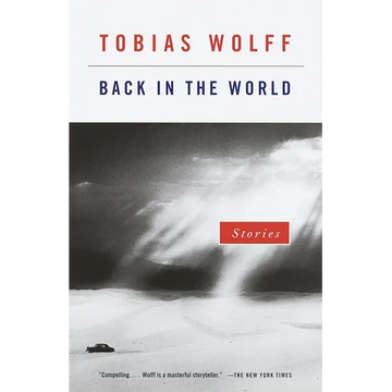 Back in the World: Stories - Paperback