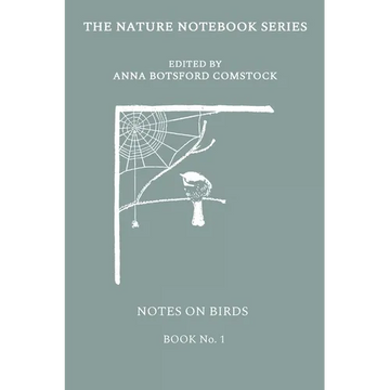 Notes on Birds 1 - Paperback