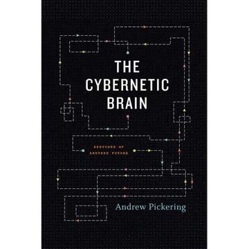 The Cybernetic Brain: Sketches of Another Future - Paperback