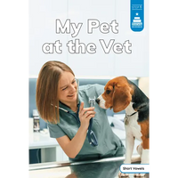 My Pet at the Vet - Paperback
