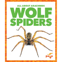 Wolf Spiders - Library Binding