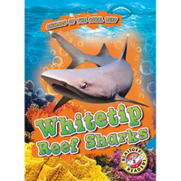 Whitetip Reef Sharks - Library Binding