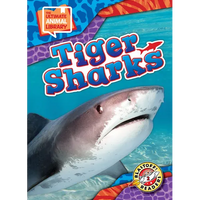 Tiger Sharks - Library Binding