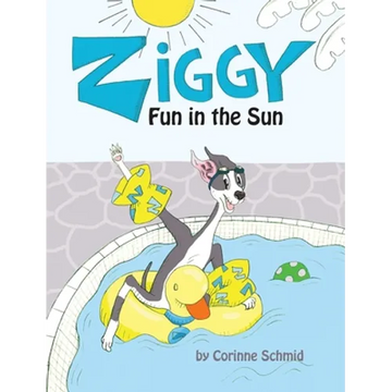 Ziggy Fun in the Sun - Hardcover