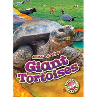 Giant Tortoises - Library Binding