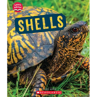 Shells (Learn About: Animal Coverings) - Paperback