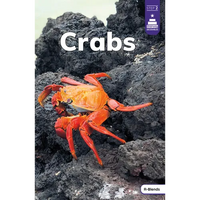 Crabs - Paperback