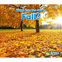 What Can You See in Fall? - Paperback