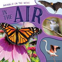 In the Air - Library Binding