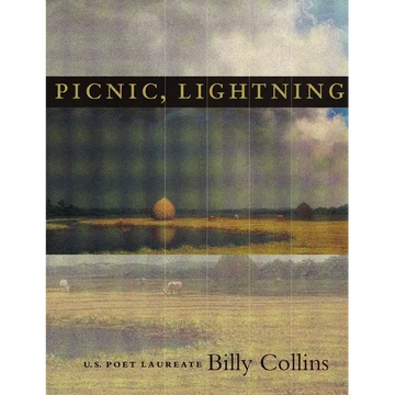 Picnic, Lightning - Paperback