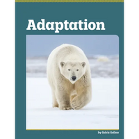 Adaptation - Library Binding