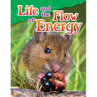 Life and the Flow of Energy - Paperback