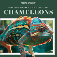 Chameleons - Paperback
