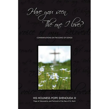 Have You Seen the One I Love: Contemplations on the Song of Songs - Paperback