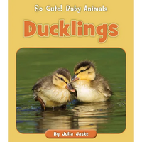 Ducklings - Paperback