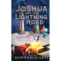 Joshua and the Lightning Road - Paperback