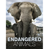 Endangered Animals - Hardcover
