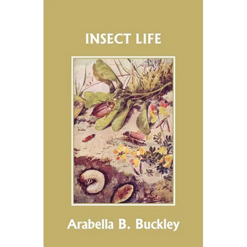 Insect Life (Yesterday's Classics) - Paperback